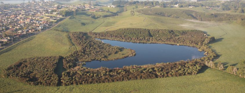 Waiwhakareke Park